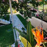 Strelitzia
