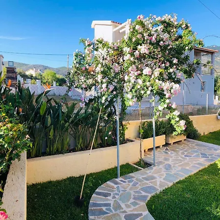 Strelitzia Apartment