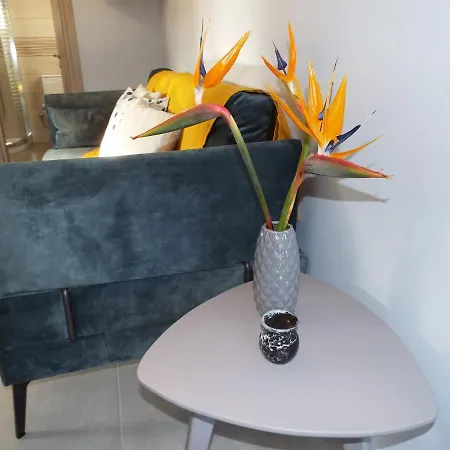 Strelitzia Apartamento Karavádhos