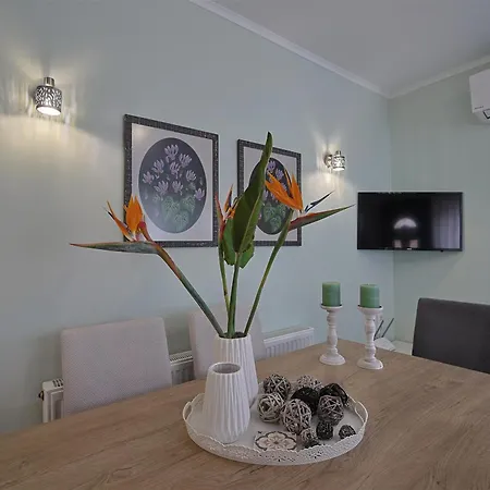 Strelitzia *